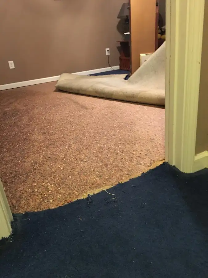 Carpet pad removal revealing water damage during Drying & Dehumidification in Gulf Gate