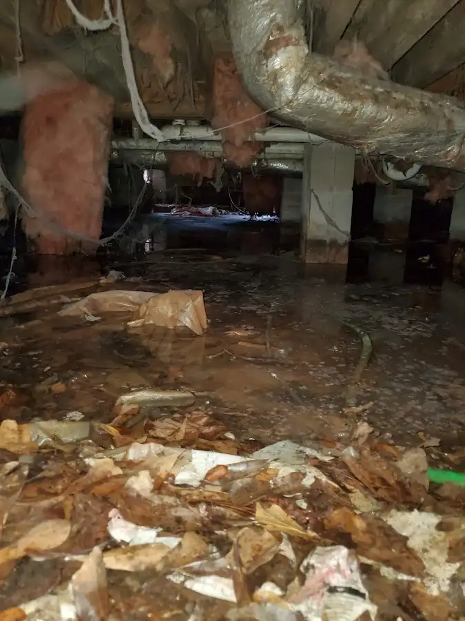 Crawl space flood assessment for Leak Detection & Repair in Gulf Gate