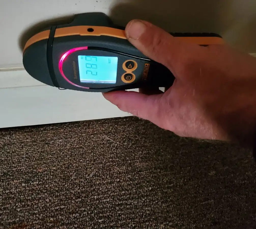 Moisture detection at baseboard during Sewage Cleanup & Sanitation in Gulf Gate